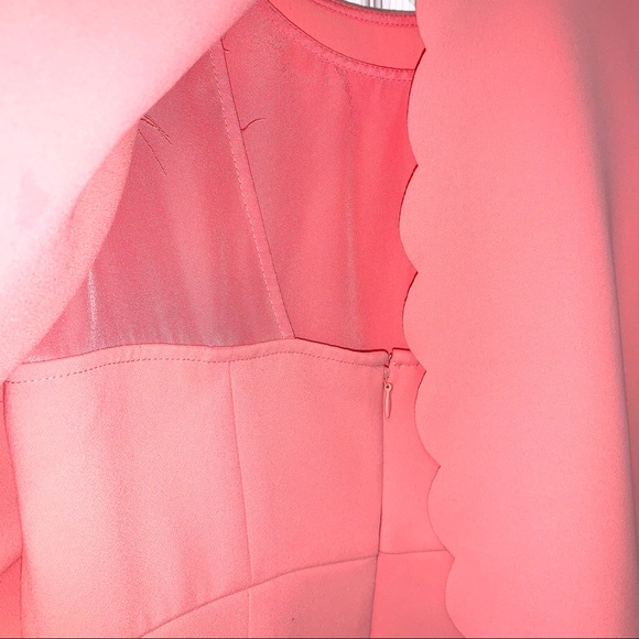 LOFT Pink Scallop Dress Size 4 Petite - Picture 4 of 11